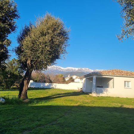 Ferienwohnung Location "Casa Monna" Prunelli-di-Fiumorbo Exterior foto
